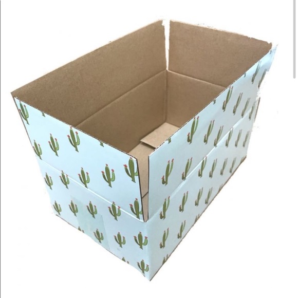 LAST SET ))) CLEARANCE 9 (10X6X4) Cactus Boxes - Picture 3 of 8